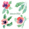 Watercolor flowers set. Vector poppies.