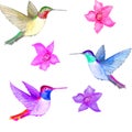 Watercolor. Flowers and three birds in the air. Royalty Free Stock Photo