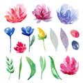 Watercolor flowers vector clipart. Abstract floral clip art Royalty Free Stock Photo