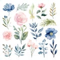 Watercolor flowers on a white background. Generative AI Royalty Free Stock Photo