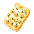 Watercolor focaccia with rosemary isolated on white background. Hand drawn illustration fo book, magazine, restaurant Royalty Free Stock Photo