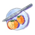 Watercolor food illustration of Persimmon and knife on plate. Half and quarter of ripe delicious fruit with cutlery on