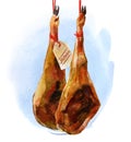 Watercolor food. Jamon