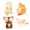 Watercolor forest animal children illustration Royalty Free Stock Photo
