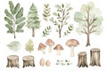 Watercolor forest elements trees, leaves, mushrooms, stumps Royalty Free Stock Photo