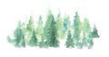 Watercolor forest landscape background. Misty green fir forest. Wild nature, frozen, misty, taiga. Abstract composition