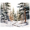 Winter Taiga Forest Watercolor Illustration