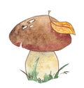 Watercolor forest mushroom with autumn leaf on the cap in grass. Royalty Free Stock Photo