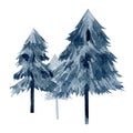 Watercolor forest tree. Winter blue fir, spruce . Woodland twigs. Travel illustration for logo, banner, greeting card Royalty Free Stock Photo