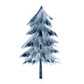 Watercolor forest tree. Winter blue tree. Woodland christmas pine, spruce, twigs. Travel illustration for logo, banner Royalty Free Stock Photo