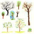 Watercolor forest trees brown wood outlines leaves branches plants green spring nature set isolated