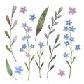 Watercolor forget-me-not flowers set with leaves and branches.