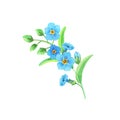 Watercolor forget-me-not.Watercolour greeting card with the first blue flowers.Spring illustration for international women`s day