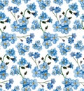 Watercolor forget me nots pattern. Blue flowers background