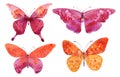 Watercolor four butterflies