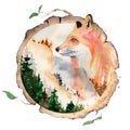 Watercolor fox Animal illustration isolated on white background.