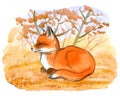 Watercolor fox cub on forest background. Hand drawn Illustration isolated on white background Royalty Free Stock Photo