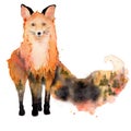 Watercolor fox with double exposure effect Animal illustration isolated on white background.