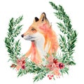 Watercolor fox with flowers Animal illustration isolated on white background.