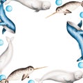 Watercolor frame with beluga, blue whale and narwhal isolated on white background. Hand painting realistic Arctic and