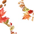 Watercolor frame with bright multicolored autumn leaves and maple winglets, chestnut fruits, oak acorns and pine cones