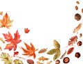 Watercolor frame with bright multicolored autumn leaves and maple winglets, chestnut fruits, oak acorns and pine cones