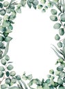 Watercolor frame with eucalyptus leaves. Hand painted baby, seeded and silver dollar eucalyptus branch isolated on white