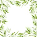 Watercolor frame with fresh sage isolated on background. Detail of beauty products and botany set, cosmetology and