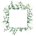 Watercolor frame with golden eucaliptus leaves. Hand painted baby, seeded and silver dollar eucalyptus branch isolated Royalty Free Stock Photo