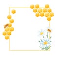 Watercolor frame. Honeycombs, honey bee, chamomile. White background. Hand painting. Illustration for printing design on