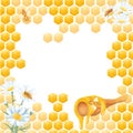 Watercolor frame. Honeycombs, honey bee, chamomiles, spoon of honey. White background. Hand painting. For printing on