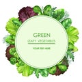 Watercolor frame or label design green leafy vegetables. Space for your text Royalty Free Stock Photo
