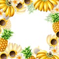 Watercolor frame and logo with bunch of ripe bananas, pineapple, sunglasses and frangipani flower. Tropical fruit Royalty Free Stock Photo