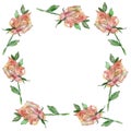 Watercolor frame of lush roses on the perimeter, isolated on a white background. Beautiful illustration, hand-drawn, for the