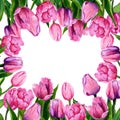 Watercolor frame of pink tulips.