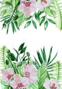 Watercolor frame, tropical leaves and flowers border. pink orchid flowers, palm leaves on a white background. design for beach vac Royalty Free Stock Photo