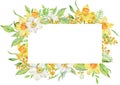 Watercolor frame with yellow spring flowers. Daffodils and mimosa branches template. Mother's Day card