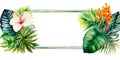 Watercolor frames with realistic tropical of monstera, frangipani and palm leaves isolated on white background