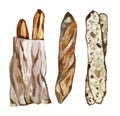 Watercolor French Bread Loafs Baguette Set Illustration