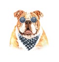 Watercolor french bulldog with sunglasses and scarf layer path.