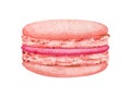 Watercolor French macaroons cookies illustration