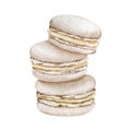 Watercolor French macaroons cookies illustration