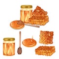 Watercolor fresh honey set with honeycombs, honey dipper, glass jar with honey. Hand drawn organic natural illustration