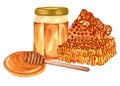 Watercolor fresh honey set with honeycombs, honey dipper, glass jar with honey. Hand drawn organic natural illustration