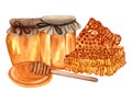 Watercolor fresh honey set with honeycombs, honey dipper, glass jar with honey. Hand drawn organic natural illustration