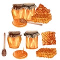 Watercolor fresh honey set with honeycombs, honey dipper, glass jar with honey. Hand drawn organic natural illustration