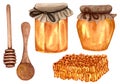 Watercolor fresh honey set with honeycombs, honey dipper, glass jar with honey. Hand drawn organic natural illustration