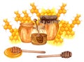 Watercolor fresh honey set with honeycombs, honey dipper, glass jar with honey. Hand drawn organic natural illustration