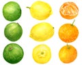 Watercolor fresh lemon, tangerine and lime set. Hand drawn botanical illustration of yellow, orange and green citrus Royalty Free Stock Photo
