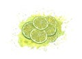 Watercolor fresh lime slices in juice splash isolated on white background. Juicy spray, ripe citrus. Bright illustration for